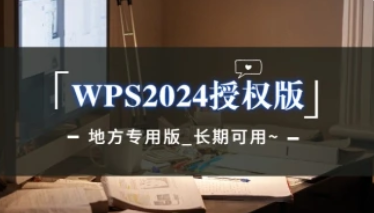 WPS2024正版授权_地方专用版，长期可用~-叮当库