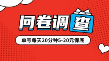 问卷调查_问券平台汇总合集（单号每日20分钟5-20元）_亲测可用-叮当库